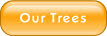 Our Trees.
